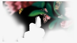 Thứ Hashtag Kiêu Hãnh Của Mxh Hay Cách Một Thương Hiệu - Macro Photography #4328195