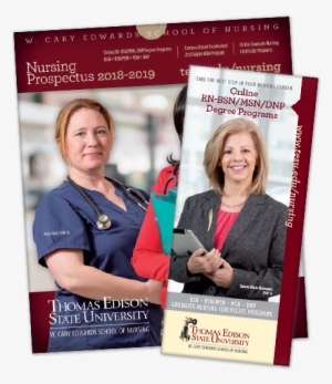 Rn To Bsn/msn Publications - Master Of Science In Nursing #4328870
