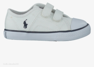 White Polo Ralph Lauren Sneakers Dyland Ez Layette - Ralph Lauren White Dyland Velcro Trainers 26 (uk 9) #4328979