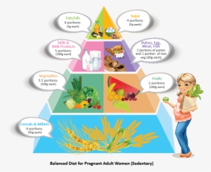 Diet During Pregnancy - Balanced Diet For A Lactating Mother #4329645