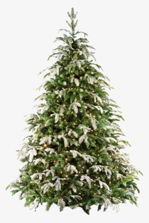 Xmas Tree Png 17 By Iamszissz - Arbol De Navidad Png #4331497