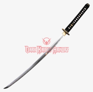 Polish Saber Larp #4331962