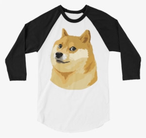 Doge 3/4 Sleeve Raglan Women's Shirt - Such Wow Doge Shirt Amazing #4332426