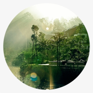 Forest Park And Crafted Landscape - Forest Circle Png #4333532