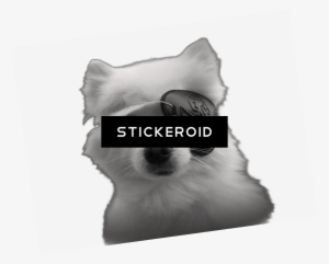 Gabe - Houston Problem #4334394