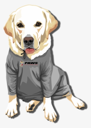 Experienced San Diego Plumbers - Paws Plumbing #4334487