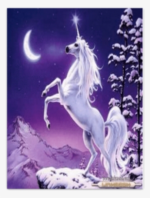 Poster Unicornio - Bliss Unicorn Necklace With Pendant #4334856