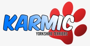 Gabriel - South Africa #4335006