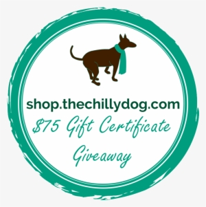 July Giveaway - Girls Play Bass Black Text Ornament (oval) #4335201