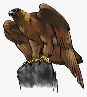 Eagle Png Photo Background - Clip Art Golden Eagle #4337002