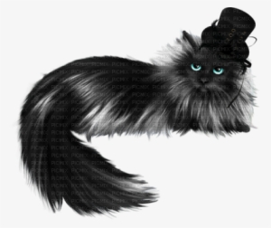 Cat In The Hat - Goth Subculture #4337134