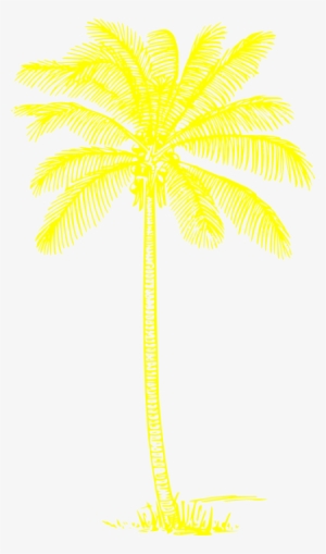 Yellow Palm Tree Png #4338345 Yellow Palm Tree Png #4338345