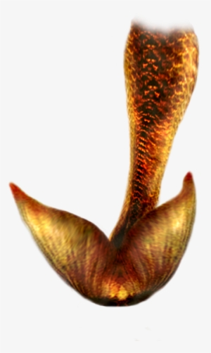 Mermaid Tail Png Hd - Mermaid Tail Hd #4338348