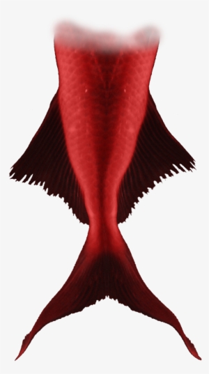 Red Merman Tail #4338418