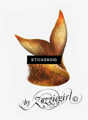 Mermaid Tail - Mermaid #4338493 Mermaid Tail - Mermaid #4338493