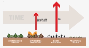 Forestcarbon-current Carbonwebsite - Climate In The Sierra Nevada #4338711