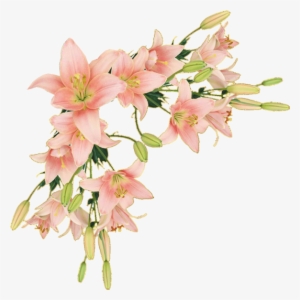 Y Trabajos Con Flores - M.d.c.n. Xxii Rectangular Pillow - Small (17" X 12") #4338922