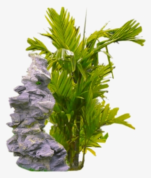 Tropical Plant Png - Tropical Plant In Transparent Background #4339101