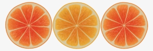 Citrus #4340184