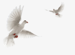 Tapash Edit Blogspot #4341346