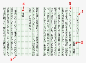 Correct Use Of Genkō Yōshi - Genko Yoshi #4343882