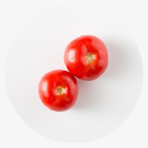 Tomato #4344806