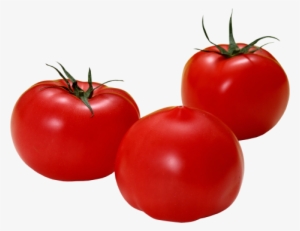 Tomato #4344843