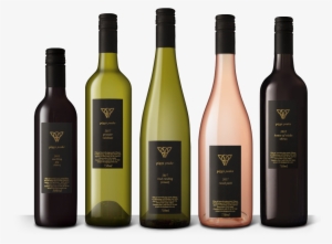 The Cellar - Wine Bottle #4345099