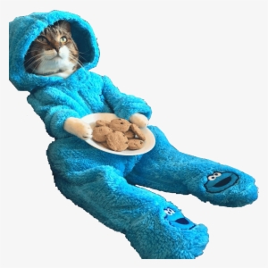 Animalcat Wearing Cookie Monster Onesie - You Re Finally Home Alone #4345519
