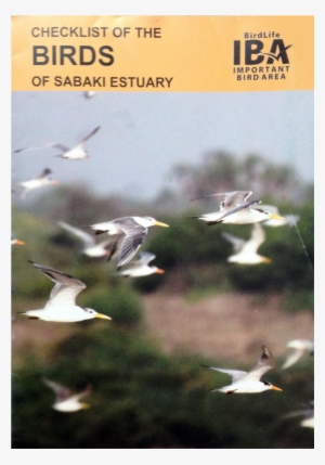 Checklist - Gull #4346426