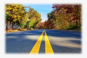 And Buses On The Roads #4347011