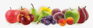 Fruit - European Fruits Png #4347335