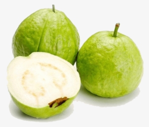 Guava White #4347342