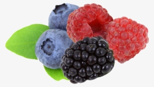 Go To Image - Blueberries 5'x7'area Rug #4347385