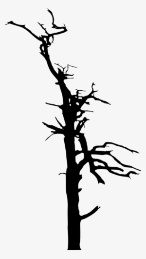 Dead Tree Silhouette - Portable Network Graphics #4347556