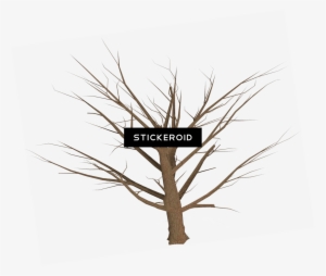 Dead Tree Empty Branches - Illustration #4347699