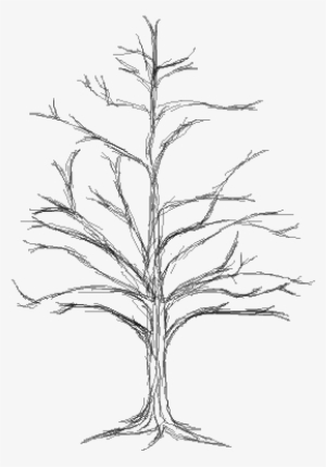 Dead Tree - Tree #4347735 Dead Tree - Tree #4347735