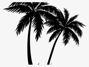 Palm Tree Clipart Transparent Png - Drawing Silhouette Of Palm Tree #4347749 Palm Tree Clipart Transparent Png - Drawing Silhouette Of Palm Tree #4347749