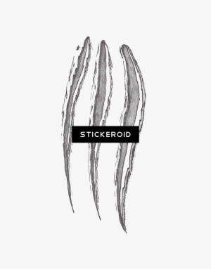 Claw Scratches Scratch - Sketch #4347831