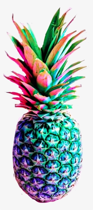 Report Abuse - Princess Pineapple Twitter #4348006