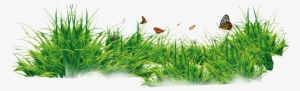 Grass With Flower Background Png Download - Png Format Grass Png #4348040