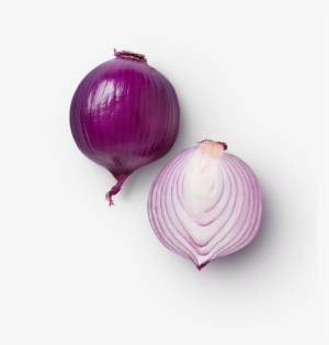 Info@beechersfoundation - Org - Food #4348202