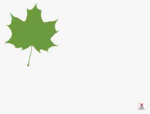 Maple Leaf Png - Clip Art Maple Leaf Silhouette #4349782