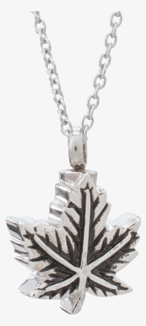 Necklace #4349855 Necklace #4349855