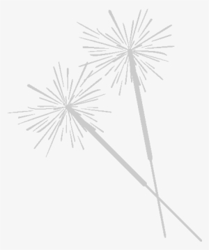 Bali Fireworks Services - Real White Firework Png #4350998
