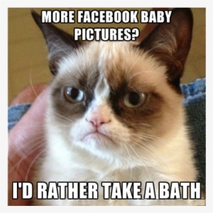 Grumpy-cat - Stop Posting Photos Of Your Baby #4351662
