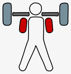 Weightlifter, Barbell #4352922