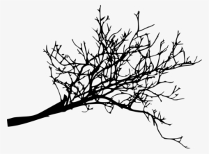 Free Png Tree Branches Silhouette Png Images Transparent - Dead Tree Branch Png #4353125