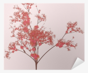 Cherry Blossom Tree #4353360