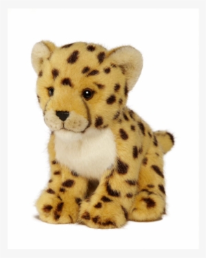 Cheetah - Wwf-canada #4354572